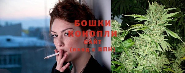 гидропоника Богородск