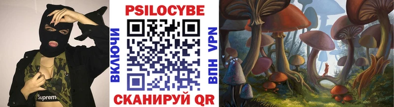 наркотики Верхняя Пышма гидра как войти Псилоцибиновые грибы ЛСД
