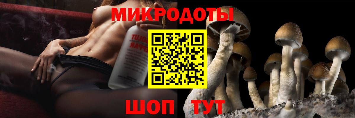 Верхняя Пышма  Псилоцибиновые грибы GOLDEN TEACHER  Галлюциногенные грибы GOLDEN TEACHER  Вход с VPN 