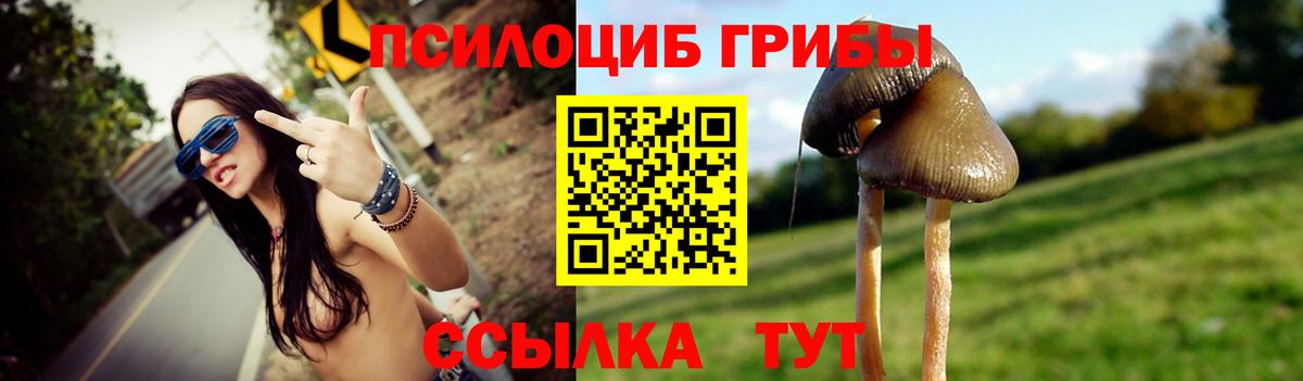 Псилоцибиновые грибы GOLDEN TEACHER  Верхняя Пышма  Псилоцибиновые грибы прущие грибы 